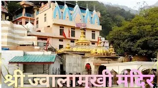 Jawalamukhi Mandir Darshan 🔥 Eternal Flames of Maa Jwala Ji