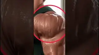 shoulder Best  exercise for home workout 🏋️#shoulder #shorts #trending #viral @akshay-gym-lover