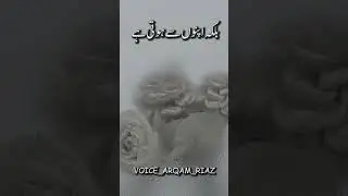 Eid Apno Say Hoti Hay | Sad Status Short | Eid poetry in urdu | Deep line poetry #shorts #sadstatus
