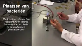 Tutorial - Preparaat maken & fixeren.