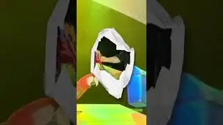 Parrot Show 2023