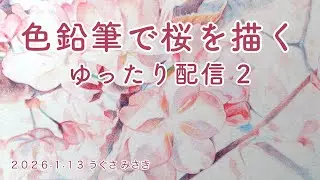 【色鉛筆で桜を描く２】ゆったり配信アーカイブ/うぐさみさき