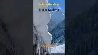 Trip Plan For Kashmir | Best Travel agent for Kashmir | Kashmir Package  travel agent |
