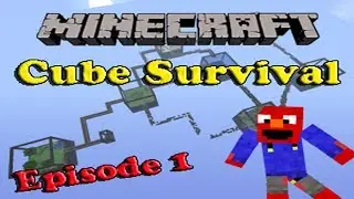 Minecraft Cube Survival-Episode 1-So Many Pigs!