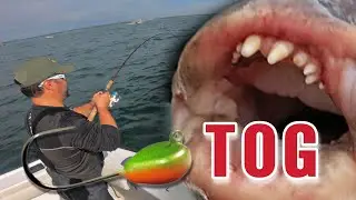 TOG Tautog Blackfish — день открытия 2022 года