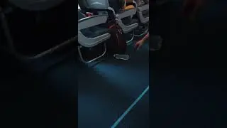 Everyone Watched This Water Bottle Roll 😅✈️ | Harmless Flight Moment #passenger #flight #shorts