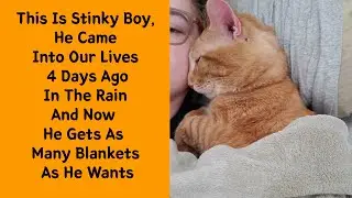 50 Heartwarming Pics Of Pets That Found Their New Home 6/6 - Rescue pet