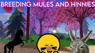 *MULES AND HINNIES* in Wild horse islands #roblox  #wildhorseislands