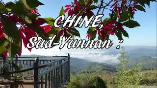 CHINE 2025 : la pagode deJingzhen, Laodabao village Lahu