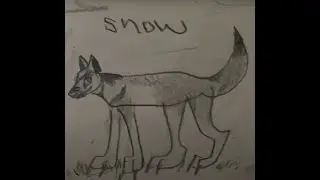 wOlfqUest aniversaery eidition wq3 Ssma SNOWS JOIRNEY, the flurry pack