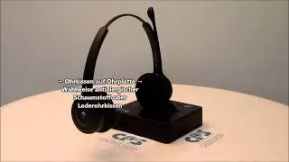 IPN W985 Eco-DECT Duo Headset