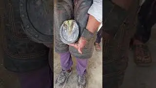 new wark horse hoof repair #farrierlife #satisfying
