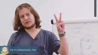 2 апреля 2021 Электив по неврологии. ММВК 2021.
