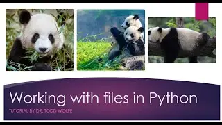 Python Tutorial: Loading a CSV file using the Pandas package