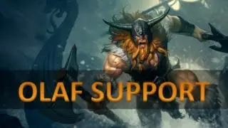 OLAF SUPPORT