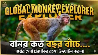 How many years do monkeys live || Monkeys of the Sundarbans || Monkey description | Monkey video | Monkey story | Monkey pictures |