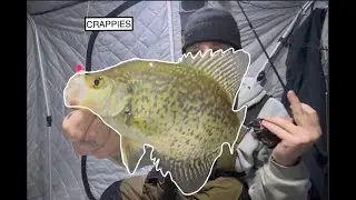 MONSTER crappie through the ICE! NORTHERN MN