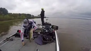 T-H Marine FLW BFL at Ross Barnett