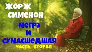 Жорж Сименон.Мегрэ и сумасшедшая.Вторая часть.Детектив.Аудиокнига.Читает актёр Юрий Яковлев-Суханов.