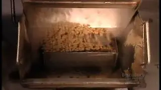 How Its Made: Dog and Cat Food