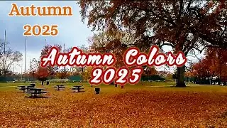 Autumn 2025 || Autumn Colors 2025 || Nature View In The Fall || Fall 2025 || World Is Beautiful 786