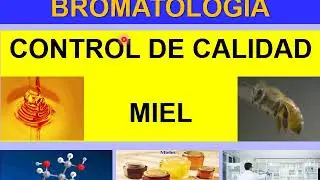 BROMATOLOGIA: MIEL (Control de Calidad)