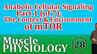 Anabolic Cellular Signaling Lecture 1 (of 7): The Context and Environment of mTOR Signaling