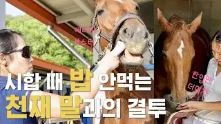 [승마 VLOG] 사료거부 말과 시합, 직장인 말 연차, 올해 첫 승마대회 ㅣ ep5