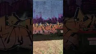 Caringbah - Street Art - Sydney, Australia #streetart #graffiti #graffitiart #sydney #caringbah