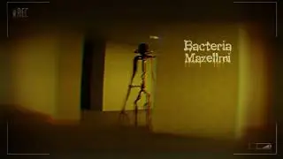 Bacteria sounds (backrooms)
