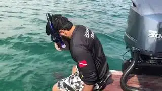 Extreme Water Sports Dubai Fitness Challenge