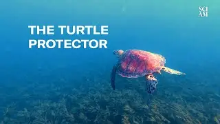 Go Inside an Anti-Poaching Unit in Kenya to See How They Protect Sea Turtles