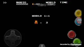 Supel mario bros con una flol
