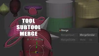 【ZBrush 2022】【memo】tool：subtool｜Merge