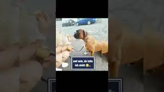 Pizzabrot Teil 2