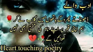 Dhundty phero gay | Sad Urdu and Hindi Shayari  - Adab Waley poetry _ part 102