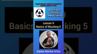 How to Seisan Block in Classical Martial Arts