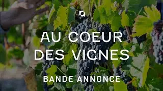 Au c&oelig;ur des vignes de la C&ocirc;te Roannaise - Bande Annonce