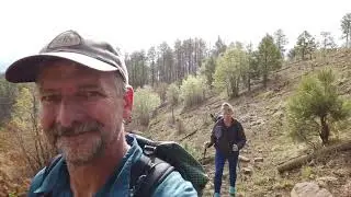 Bear Mt Lookout Hike / Blue Range Primitive Area 5/26/2021
