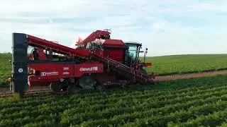 | Dewulf ZB 2 | AGRO JUREK |