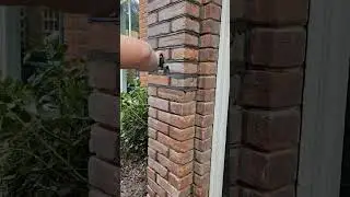 Repointing brickwork #trade #diy #satisfying #smooth