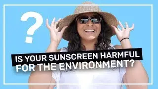 Why is Sunscreen Bad For The Environment? ☀️Pela Pointer