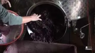 Live from the vineyard with Roberto Voerzio - puntata 7