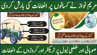 Punjab Government Wheat Competition 2026  | Pak Rural Life | How To Apply Wheat Competition Punjab
