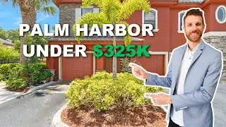 Home for Sale in Palm Harbor, Florida Under $325k