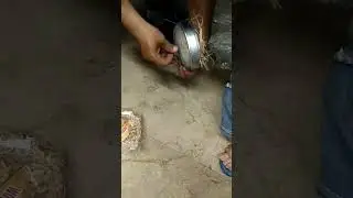 How to make dove nest??🕊️🐣 #shorts #youtubeshorts #viral