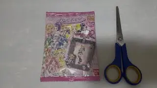 プリキュア カードホルダー