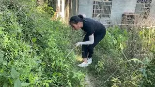 妇女除草听见奇怪的叫声，走前一看4800多元到时手，怎么办才好？