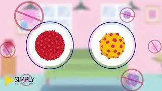 Jessica's Explainer video