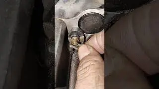 All bike neutral #light problem